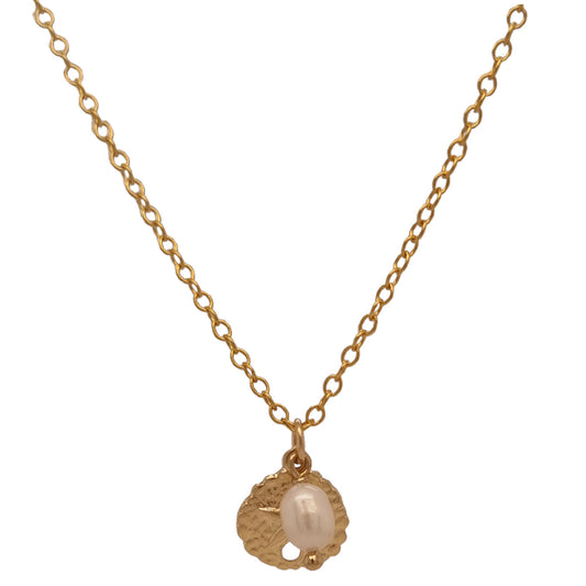 Solarius Sand Dollar Pearl Gold filled Chain Necklace