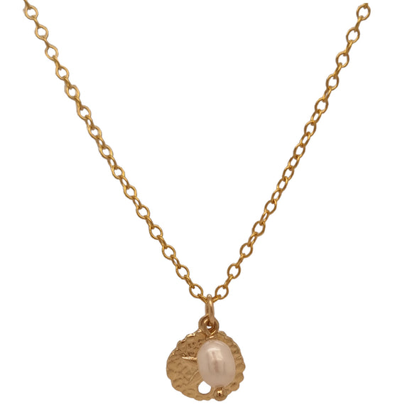 Solarius Sand Dollar Pearl Gold filled Necklace