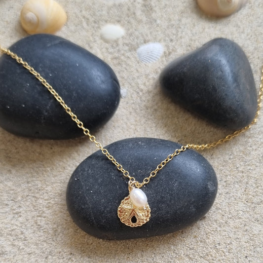 Solarius Sand Dollar Pearl Gold filled Chain Necklace