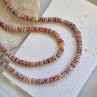 Calypso small Shell Necklace