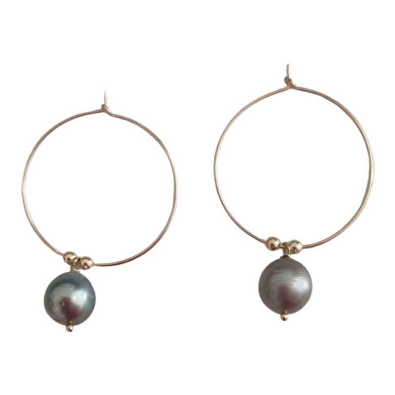 Venus Tahitian Pearl Earrings 14k Gold filled or Sterling Silver